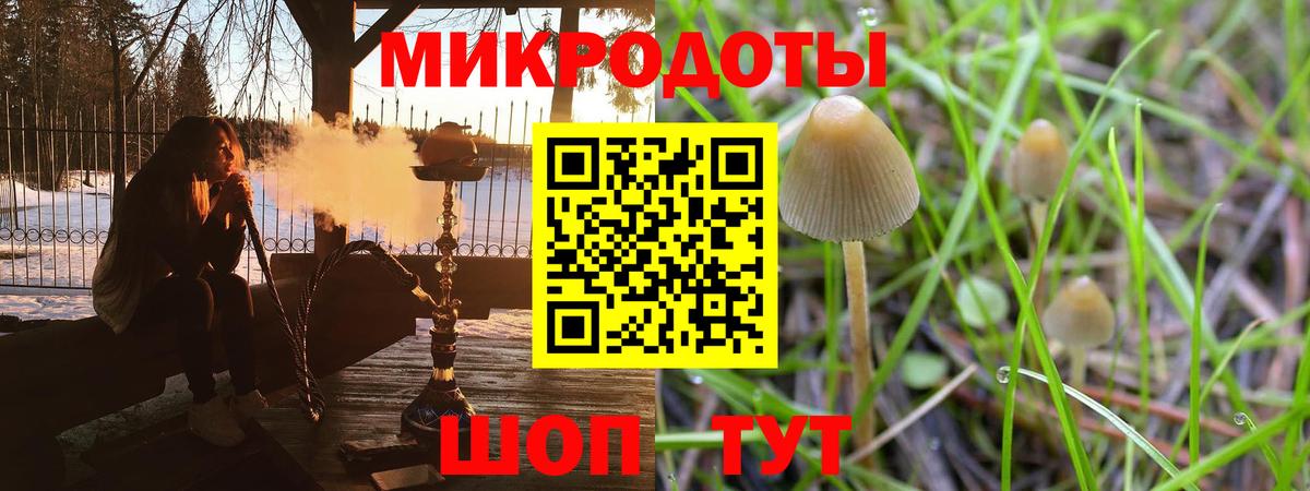 где купить   Псилоцибиновые грибы Magic Shrooms  Кольчугино  Вход с VPN  Псилоцибиновые грибы мицелий 