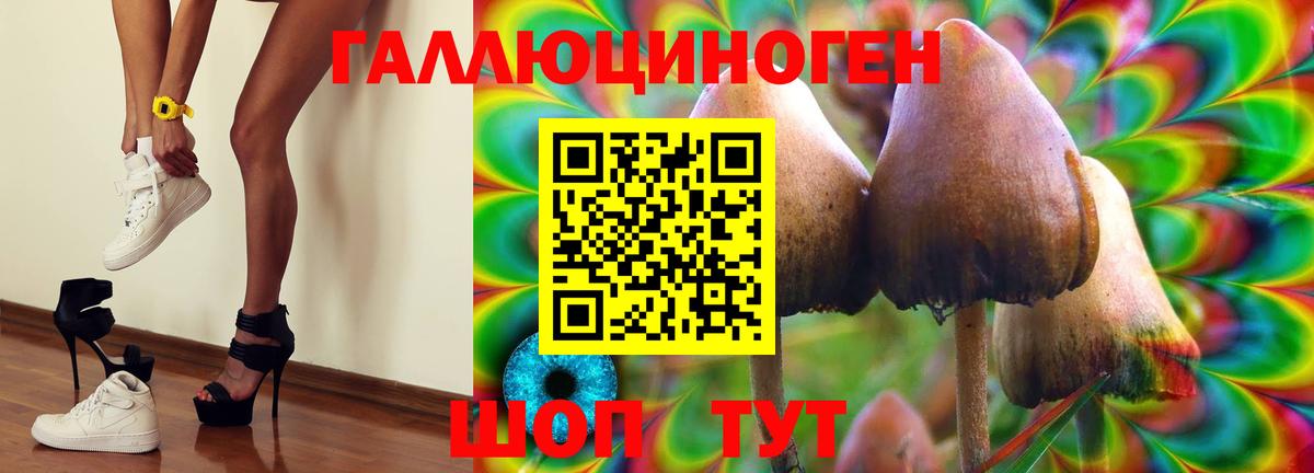 Галлюциногенные грибы GOLDEN TEACHER Кольчугино
